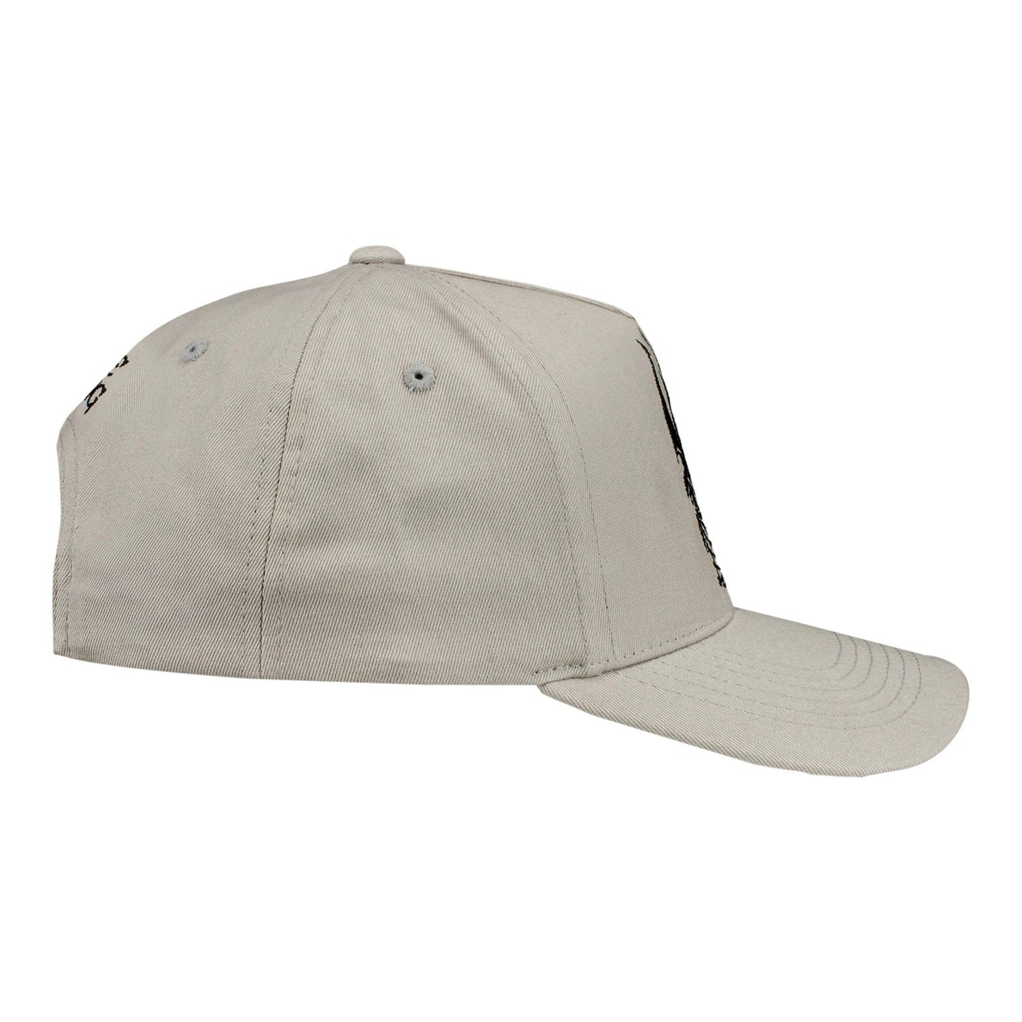 Gorra  Snapback World of Warcraft Rey Exánime Gorra  Vista lateral