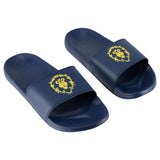 World of Warcraft Alliance Navy Logo Slides - Overhead View